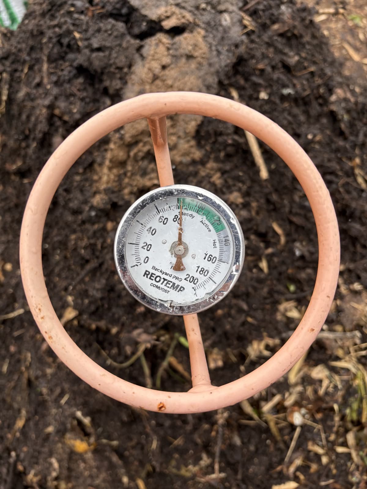 A compost thermometer in a dark pile, its needle in the active range above 100 degrees